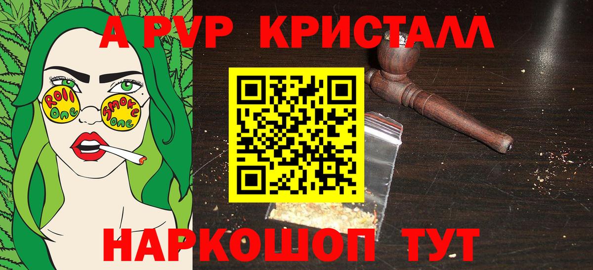 A PVP СК КРИС Алейск