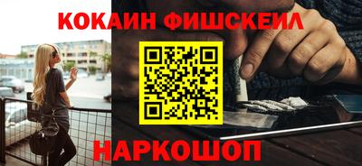 СК Бердск