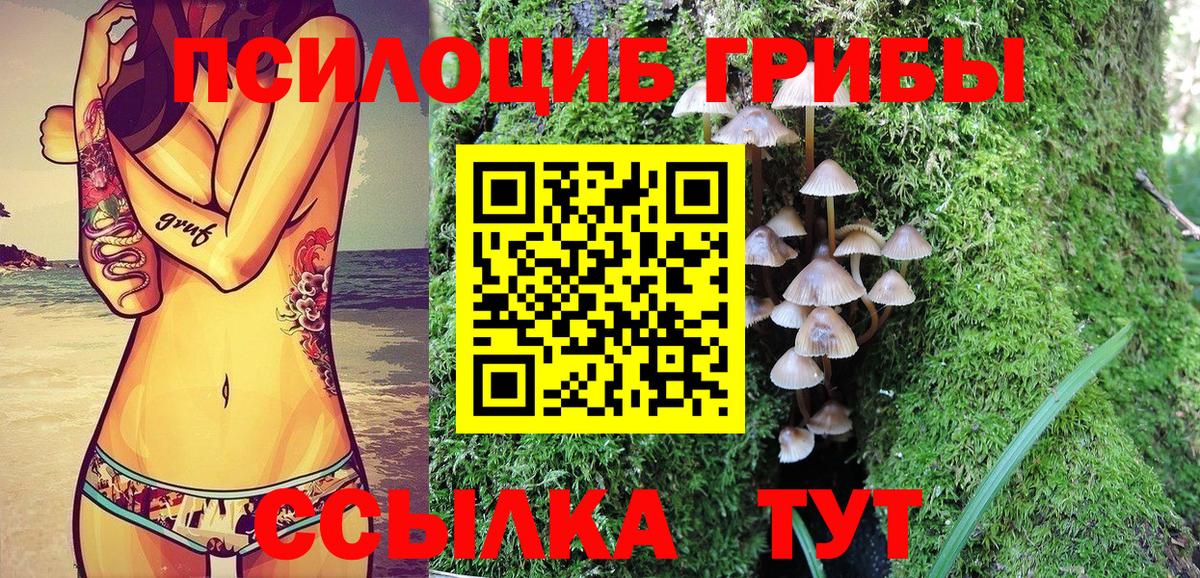 Галлюциногенные грибы прущие грибы Алейск