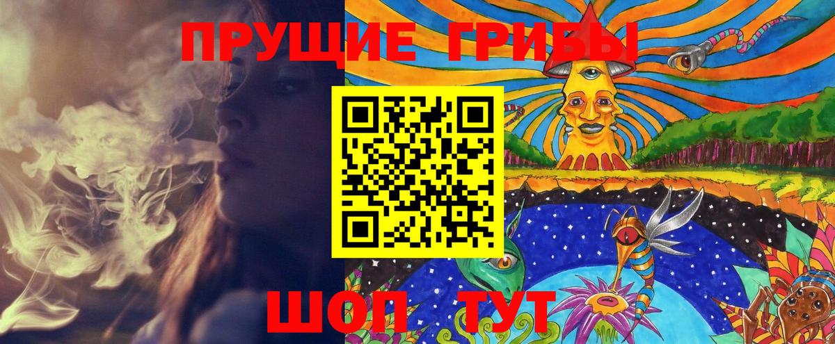 Бошки Шишки Алейск