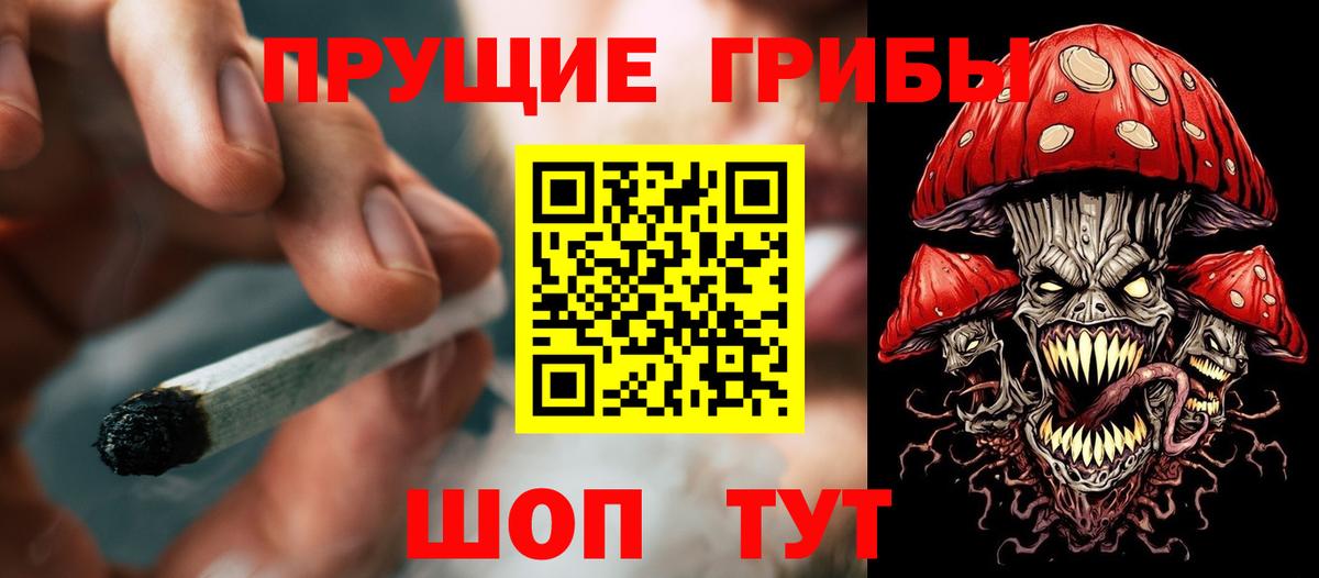 Алейск  Псилоцибиновые грибы мицелий  Вход с VPN  Галлюциногенные грибы Psilocybe 
